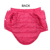 Pet Clothes