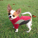 Pet Clothes