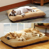 Large Dog Bed
