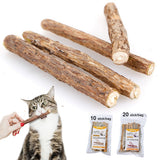 10/20pcs Interactive Cat Toy
