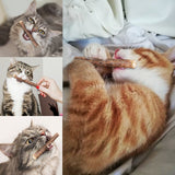 10/20pcs Interactive Cat Toy