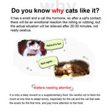 10/20pcs Interactive Cat Toy