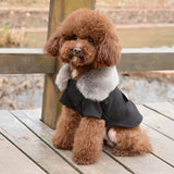 Pet Clothes