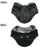 Pet Clothes