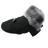 Pet Clothes