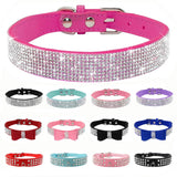 For Small Medium Dogs Cats