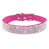 For Small Medium Dogs Cats