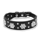 For Small Medium Dogs Cats