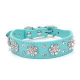 For Small Medium Dogs Cats