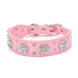 For Small Medium Dogs Cats