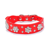 For Small Medium Dogs Cats