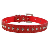 For Small Medium Dogs Cats