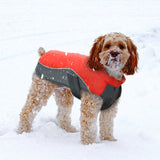 Waterproof Dog Winter Coat