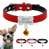 Personalized Dog Collars