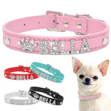 Puppy Dog Collars
