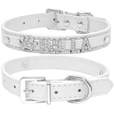 Puppy Dog Collars