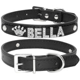 Puppy Dog Collars