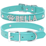 Puppy Dog Collars