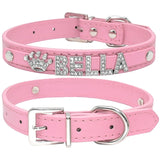 Puppy Dog Collars