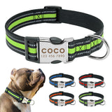 Personalized Dog Collar