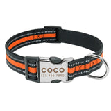 Personalized Dog Collar