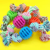 Dog Toys