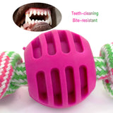 Dog Toys