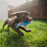 Dog Toys