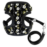 Cute Cat Puppy Harness