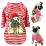 Pet Clothes