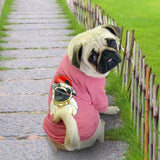 Pet Clothes