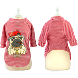 Pet Clothes